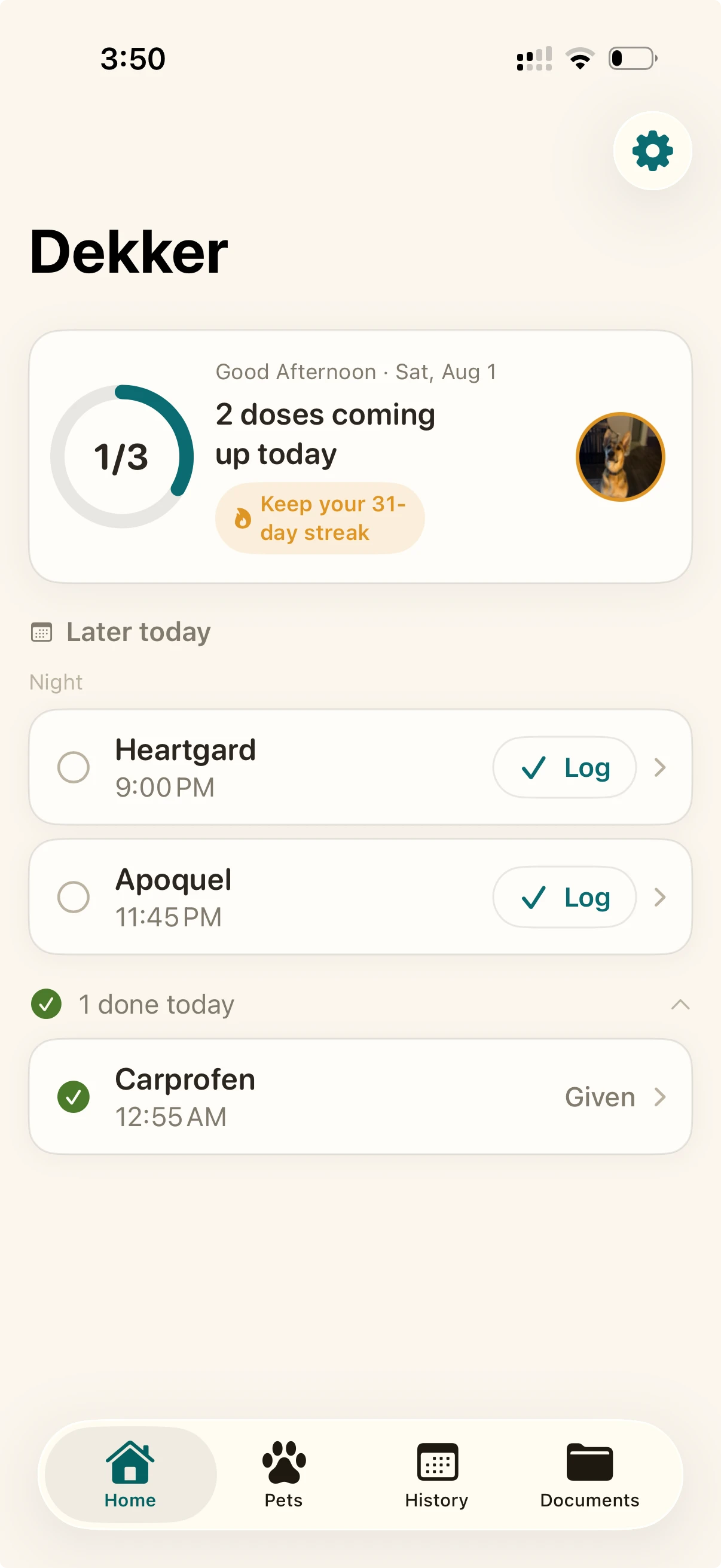 The TailDose home screen for a dog named Dekker, showing one of three doses done, two more coming up tonight, and a 31-day streak